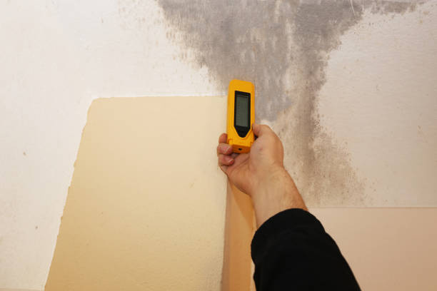 Best Comprehensive Air Testing for Mold Contaminants  in Acres Green, CO