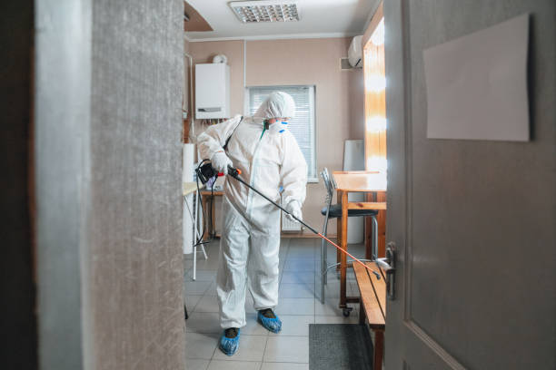 Best Mold-Related Health Consultation  in Acres Green, CO