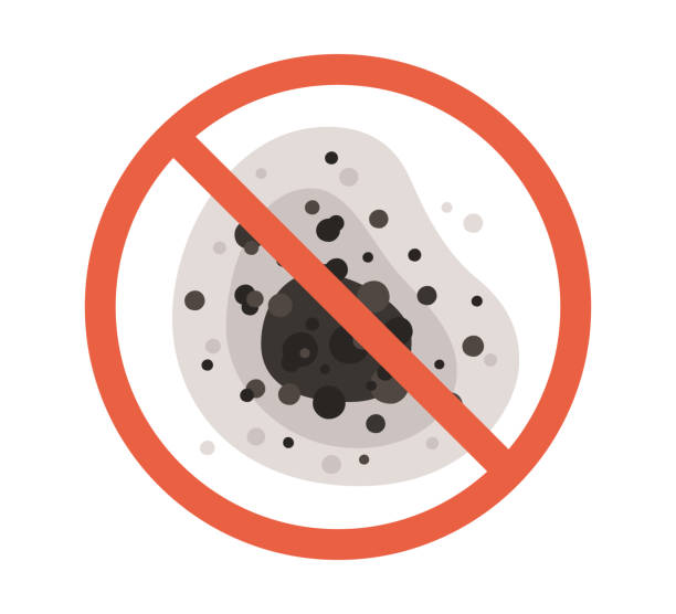 Best Mold Documentation for Insurance Claims  in Acres Green, CO